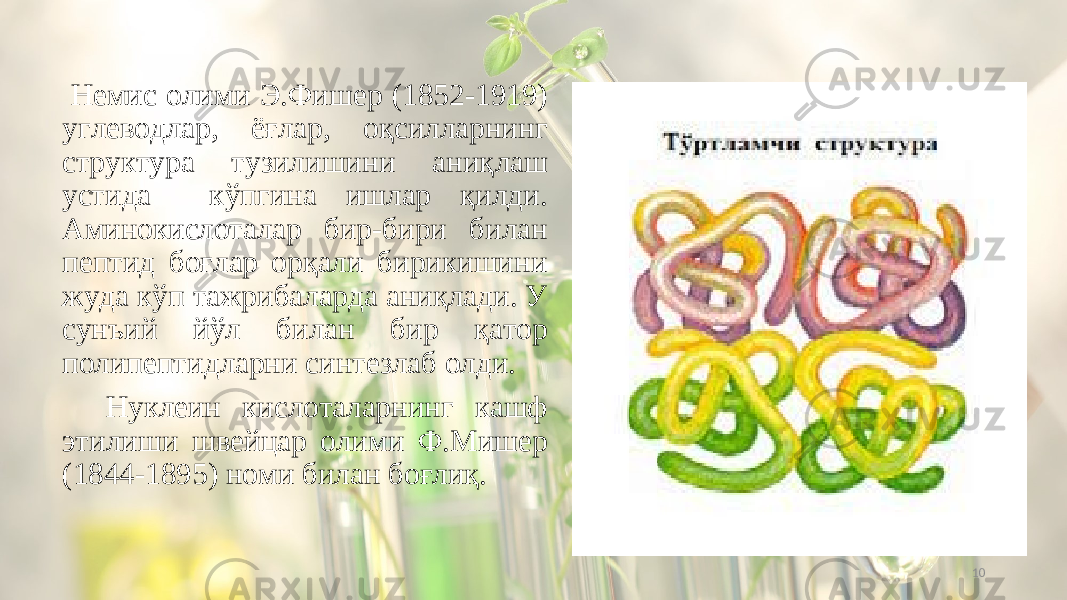 10 Немис олими Э.Фишер (1852-1919) углеводлар, ёғлар, оқсилларнинг структура тузилишини аниқлаш устида кўпгина ишлар қилди. Аминокислоталар бир-бири билан пептид боғлар орқали бирикишини жуда кўп тажрибаларда аниқлади. У сунъий йўл билан бир қатор полипептидларни синтезлаб олди. Нуклеин кислоталарнинг кашф этилиши швейцар олими Ф.Мишер (1844-1895) номи билан боғлиқ. 