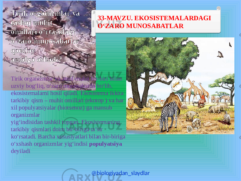 33-MAVZU. EKOSISTEMALARDAGI O‘ZARO MUNOSABATLARTirik organizmlar va tashqi muhit omillari o‘rtasidagi o‘zaro munosabatlar qanday amalga oshadi? Tirik organizmlar va atrof-muhit bir-biri bilan uzviy bog‘liq, o‘zaro munosabatda bo‘lib, ekosistemalarni hosil qiladi. Ekosistema ikkita tarkibiy qism – muhit omillari (ekotop ) va har xil populyatsiyalar (biotsenoz) ga mansub organizmlar yig‘indisidan tashkil topgan. Ekosistemaning tarkibiy qismlari doim bir-biriga ta’sir ko‘rsatadi. Barcha xususiyatlari bilan bir-biriga o‘xshash organizmlar yig‘indisi populyatsiya deyiladi @biologiyadan_slaydlar28 03 