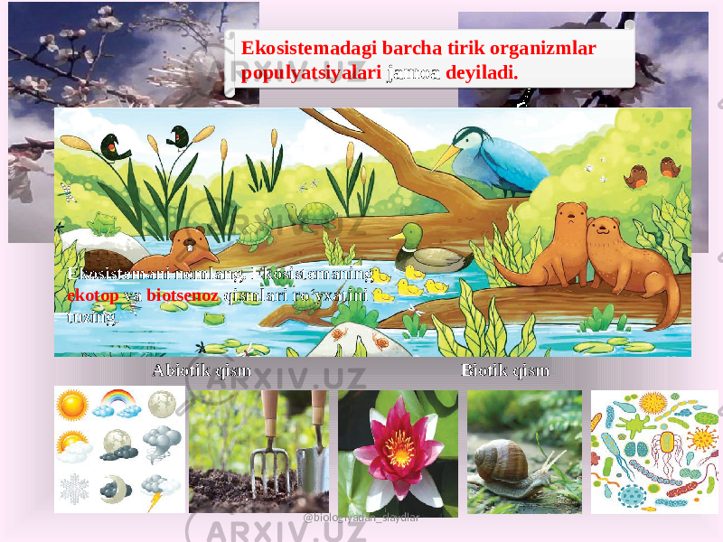 Ekosistemadagi barcha tirik organizmlar populyatsiyalari jamoa deyiladi. Ekosistemani nomlang. Ekosistemaning ekotop va biotsenoz qismlari ro‘yxatini tuzing. Abiotik qism Biotik qism @biologiyadan_slaydlar01 2F 21 0F1B 