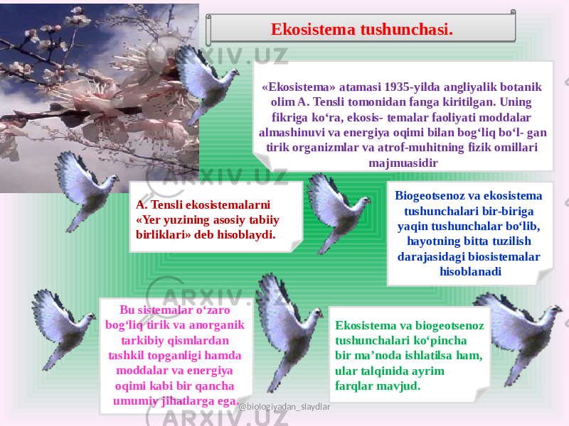 «Ekosistema» atamasi 1935-yilda angliyalik botanik olim A. Tensli tomonidan fanga kiritilgan. Uning fikriga ko‘ra, ekosis- temalar faoliyati moddalar almashinuvi va energiya oqimi bilan bog‘liq bo‘l- gan tirik organizmlar va atrof-muhitning fizik omillari majmuasidir A. Tensli ekosistemalarni «Yer yuzining asosiy tabiiy birliklari» deb hisoblaydi. Biogeotsenoz va ekosistema tushunchalari bir-biriga yaqin tushunchalar bo‘lib, hayotning bitta tuzilish darajasidagi biosistemalar hisoblanadi Bu sistemalar o‘zaro bog‘liq tirik va anorganik tarkibiy qismlardan tashkil topganligi hamda moddalar va energiya oqimi kabi bir qancha umumiy jihatlarga ega. Ekosistema va biogeotsenoz tushunchalari ko‘pincha bir ma’noda ishlatilsa ham, ular talqinida ayrim farqlar mavjud. Ekosistema tushunchasi. @biologiyadan_slaydlar01 