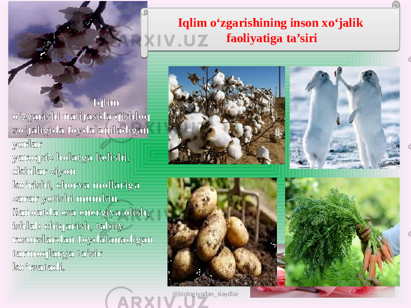 Iqlim o‘zgarishining inson xo‘jalik faoliyatiga ta’siri Iqlim o‘zgarishi natijasida qishloq xo‘jaligida foydalaniladigan yerlar yaroqsiz holatga kelishi, ekinlar ziyon ko‘rishi, chorva mollariga zarar yetishi mumkin. Sanoatda esa energiya olish, ishlab chiqarish, tabiiy resurslardan foydalanadigan tarmoqlarga ta’sir ko‘rsatadi. @biologiyadan_slaydlar05 38 