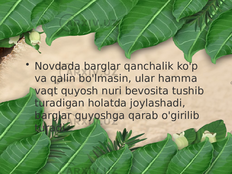 • Novdada barglar qanchalik ko&#39;p va qalin bo&#39;lmasin, ular hamma vaqt quyosh nuri bevosita tushib turadigan holatda joylashadi, barglar quyoshga qarab o&#39;girilib turadi. 