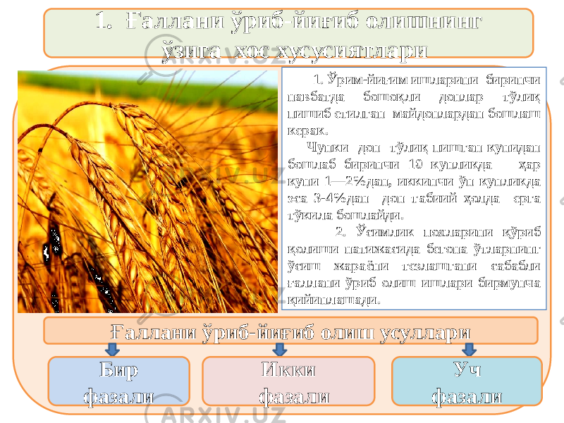 1. Ғаллани ўриб-йиғиб олишнинг ўзига хос хусусиятлари 1. Ўрим-йиғим ишларини биринчи навбатда бошоқли донлар тўлиқ пишиб етилган майдонлардан бошлаш керак. Чунки дон тўлиқ пишган кунидан бошлаб биринчи 10 кунликда ҳар куни 1—2%дан, иккинчи ўн кунликда эса 3-4%дан дон табиий ҳолда ерга тўкила бошлайди. 2. Ўсимлик пояларини қўриб қолиши натижасида бегона ўтларнинг ўсиш жараёни тезлашгани сабабли ғаллани ўриб олиш ишлари бирмунча қийинлашади. Ғаллани ўриб-йиғиб олиш усуллари Бир фазали Икки фазали Уч фазали 