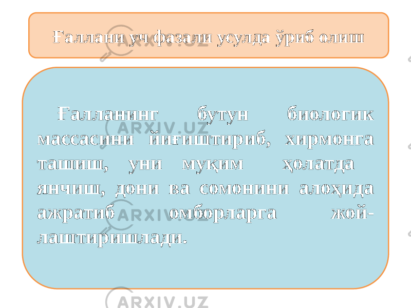 Ғаллани уч фазали усулда ўриб олиш Ғалланинг бутун биологик массасини йиғиштириб, хирмонга ташиш, уни муқим ҳолатда янчиш, дони ва сомонини алоҳида ажратиб омборларга жой- лаштиришлади. 