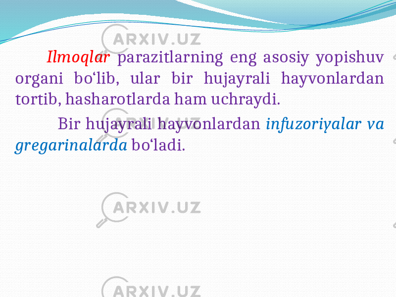  Ilmoqlar parazitlarning eng asosiy yopishuv organi bo‘lib, ular bir hujayrali hayvonlardan tortib, hasharotlarda ham uchraydi. Bir hujayrali hayvonlardan infuzoriyalar va gregarinalarda bo‘ladi. 