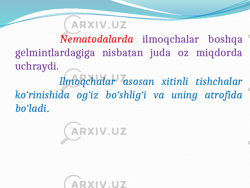  Nematodalarda ilmoqchalar boshqa gelmintlardagiga nisbatan juda oz miqdorda uchraydi. Ilmoqchalar asosan xitinli tishchalar ko‘rinishida og‘iz bo‘shlig‘i va uning atrofida bo‘ladi . 