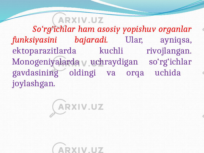  So‘rg‘ichlar ham asosiy yopishuv organlar funksiyasini bajaradi. Ular, ayniqsa, ektoparazitlarda kuchli rivojlangan. Monogeniyalarda uchraydigan so‘rg‘ichlar gavdasining oldingi va orqa uchida joylashgan. 