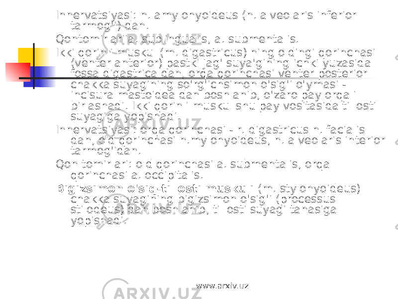 Innervatsiyasi: n. amylohyoideus (n. alveolaris inferior tarmog&#39;i) dan. Qontomirlariia. sublingualis, a. submentalis. Ikki qorinli muskul (m. digastricus) ning oldingi qorinchasi (venter anterior) pastki jag&#39; suya&#39;gining ichki yuzasida fossa digastrica dan, orqa qorinchasi venter posterior chakka suyagining so&#39;rg&#39;ichsimon o&#39;sig&#39;i o&#39;ymasi - incisura mastoidea dan boshlanib, o&#39;zaro pay orqali birlashadi. Ikki qorinli muskul shu pay vositasida til osti suyagiga yopishadi. Innervatsiyasi: orqa qorinchasi - r. digastricus n. facialis dan, old qorinchasi n.mylohyoideus, n. alveolaris interior tarmog&#39;idan. Qon tomirlari: old qorinchasi a. submentalis, orqa qorinchasi a. occipitalis. Bigizsimon o&#39;siq-til osti muskuli (m. stylohyoideus) chakka suyagining bigizsimon o&#39;sig&#39;i (processus stilodeus) dan boshlanib, til osti suyagi tanasiga yopishadi. www.arxiv.uz 
