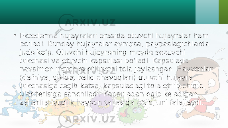 • Ektoderma hujayralari orasida otuvchi hujayralar ham bo‘ladi. Bunday hujayralar ayniqsa, paypaslagichlarda juda ko‘p. Otuvchi hujayraning mayda sezuvchi tukchasi va otuvchi kapsulasi bo‘ladi. Kapsulada naysimon ingichka otiluvchi tola joylashgan. Hayvonlar (dafniya, siklop, baliq chavoqlari) otuvchi hujayra tukchasiga tegib ketsa, kapsuladagi tola otilib chiqib, ular terisiga sanchiladi. Kapsuladan oqib keladigan zaharli suyuqlik hayvon tanasiga o‘tib, uni falajlaydi. 