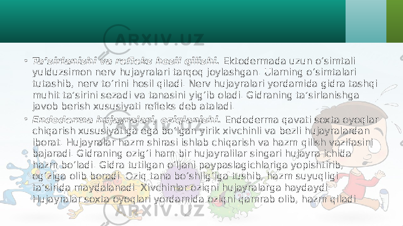 • Ta’sirlanishi va refleks hosil qilishi. Ektodermada uzun o‘simtali yulduzsimon nerv hujayralari tarqoq joylashgan. Ularning o‘simtalari tutashib, nerv to‘rini hosil qiladi. Nerv hujayralari yordamida gidra tashqi muhit ta’sirini sezadi va tanasini yig‘ib oladi. Gidraning ta’sirlanishga javob berish xususiyati refleks deb ataladi. • Endoderma hujayralari, oziqlanishi. Endoderma qavati soxta oyoqlar chiqarish xususiyatiga ega bo‘lgan yirik xivchinli va bezli hujayralardan iborat. Hujayralar hazm shirasi ishlab chiqarish va hazm qilish vazifasini bajaradi. Gidraning ozig‘i ham bir hujayralilar singari hujayra ichida hazm bo‘ladi. Gidra tutilgan o‘ljani paypaslagichlariga yopishtirib, og‘ziga olib boradi. Oziq tana bo‘shlig‘iga tushib, hazm suyuqligi ta’sirida maydalanadi. Xivchinlar oziqni hujayralarga haydaydi. Hujayralar soxta oyoqlari yordamida oziqni qamrab olib, hazm qiladi. 