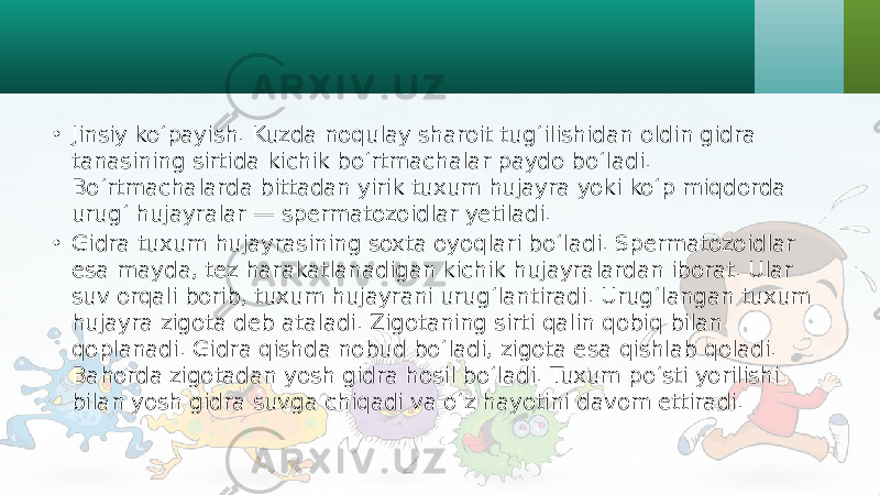 • Jinsiy ko‘payish. Kuzda noqulay sharoit tug‘ilishidan oldin gidra tanasining sirtida kichik bo‘rtmachalar paydo bo‘ladi. Bo‘rtmachalarda bittadan yirik tuxum hujayra yoki ko‘p miqdorda urug‘ hujayralar — spermatozoidlar yetiladi. • Gidra tuxum hujayrasining soxta oyoqlari bo‘ladi. Spermatozoidlar esa mayda, tez harakatlanadigan kichik hujayralardan iborat. Ular suv orqali borib, tuxum hujayrani urug‘lantiradi. Urug‘langan tuxum hujayra zigota deb ataladi. Zigotaning sirti qalin qobiq bilan qoplanadi. Gidra qishda nobud bo‘ladi, zigota esa qishlab qoladi. Bahorda zigotadan yosh gidra hosil bo‘ladi. Tuxum po‘sti yorilishi bilan yosh gidra suvga chiqadi va o‘z hayotini davom ettiradi. 