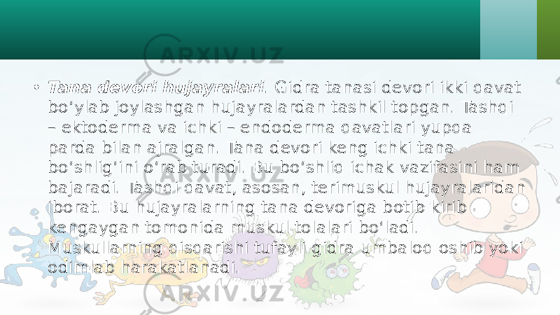 • Tana devori hujayralari . Gidra tanasi devori ikki qavat bo‘ylab joylashgan hujayralardan tashkil topgan. Tashqi – ektoderma va ichki – endoderma qavatlari yupqa parda bilan ajralgan. Tana devori keng ichki tana bo‘shlig‘ini o‘rab turadi. Bu bo‘shliq ichak vazifasini ham bajaradi. Tashqi qavat, asosan, terimuskul hujayralaridan iborat. Bu hujayralarning tana devoriga botib kirib kengaygan tomonida muskul tolalari bo‘ladi. Muskullarning qisqarishi tufayli gidra umbaloq oshib yoki odimlab harakatlanadi. 