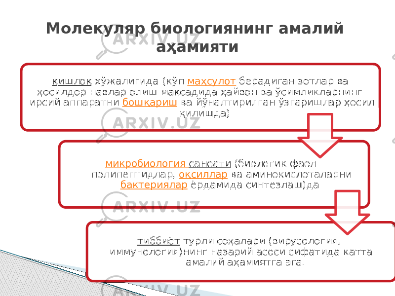 қишлоқ  хўжалигида (кўп  маҳсулот  берадиган зотлар ва ҳосилдор навлар олиш мақсадида ҳайвон ва ўсимликларнинг ирсий аппаратни  бошқариш ва йўналтирилган ўзгаришлар ҳосил қилишда) микробиология саноати  (биологик фаол полипептидлар,  оқсиллар  ва аминокислоталарни  бактериялар  ёрдамида синтезлаш)да тиббиёт  турли соҳалари (вирусология, иммунология)нинг назарий асоси сифатида катта амалий аҳамиятга эга.Молекуляр биологиянинг амалий аҳамияти 