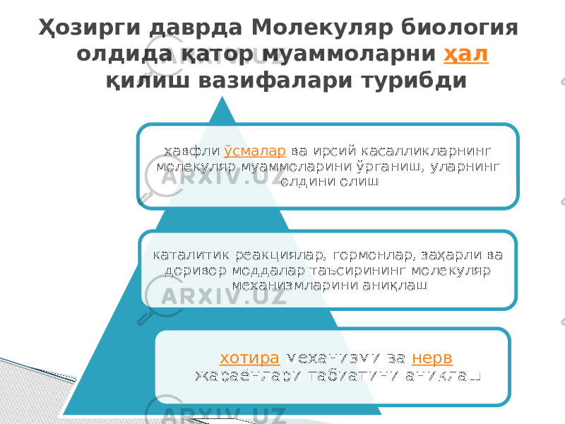 хавфли  ўсмалар  ва ирсий касалликларнинг молекуляр муаммоларини ўрганиш, уларнинг олдини олиш каталитик реакциялар, гормонлар, заҳарли ва доривор моддалар таъсирининг молекуляр механизмларини аниқлаш хотира  механизми ва  нерв  жараёнлари табиатини аниқлаш Ҳозирги даврда Молекуляр биология олдида қатор муаммоларни  ҳал  қилиш вазифалари турибди 