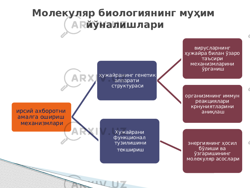 ирсий ахборотни амалга ошириш механизмлари ҳужайранинг генетик аппарати структураси вирусларнинг ҳужайра билан ўзаро таъсири механизмларини ўрганиш организмнинг иммун реакциялари крнуниятларини аниқлаш Хужайрани функционал тузилишини текшириш энергиянинг ҳосил бўлиши ва ўзгаришининг молекуляр асослари Молекуляр биологиянинг муҳим йўналишлари 