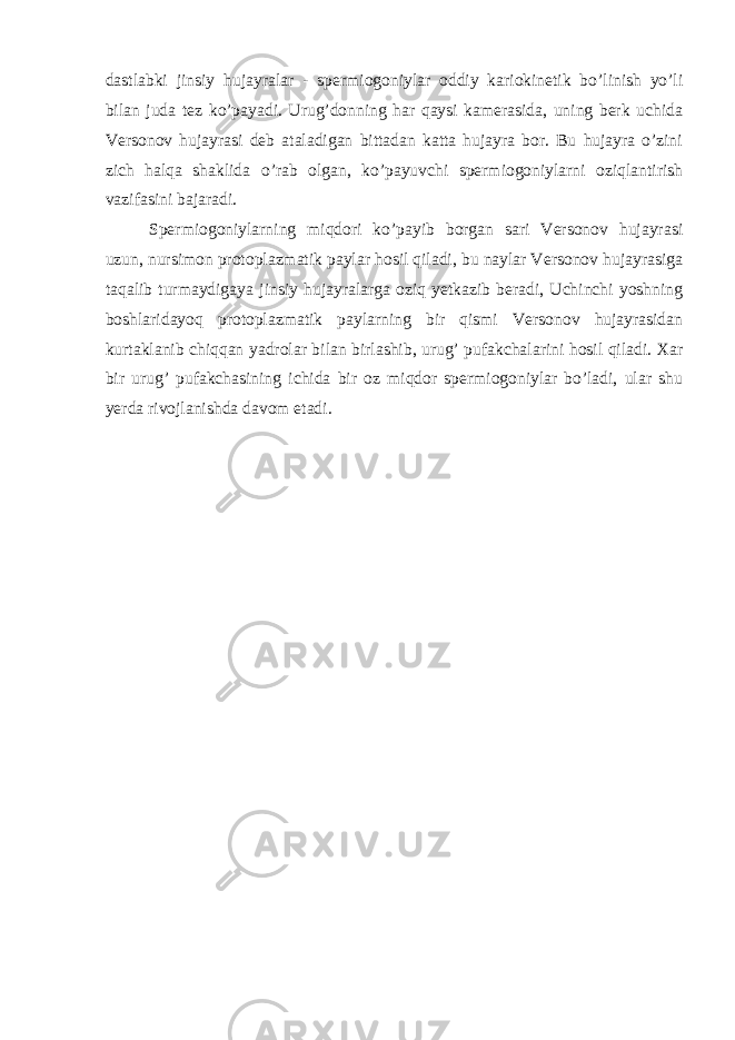 dastlabki jinsiy hujayralar - spermiogoniylar oddiy kariokinetik bo’linish yo’li bilan juda tez ko’payadi. Urug’donning har qaysi kamerasida, uning berk uchida Versonov hujayrasi deb ataladigan bittadan katta hujayra bor. Bu hujayra o’zini zich halqa shaklida o’rab olgan, ko’payuvchi spermiogoniylarni oziqlantirish vazifasini bajaradi. Spermiogoniylarning miqdori ko’payib borgan sari Versonov hujayrasi uzun, nursimon protoplazmatik paylar hosil qiladi, bu naylar Versonov hujayrasiga taqalib turmaydigaya jinsiy hujayralarga oziq yetkazib beradi, Uchinchi yoshning boshlaridayoq protoplazmatik paylarning bir qismi Versonov hujayrasidan kurtaklanib chiqqan yadrolar bilan birlashib, urug’ pufakchalarini hosil qiladi. Xar bir urug’ pufakchasining ichida bir oz miqdor spermiogoniylar bo’ladi, ular shu yerda rivojlanishda davom etadi. 