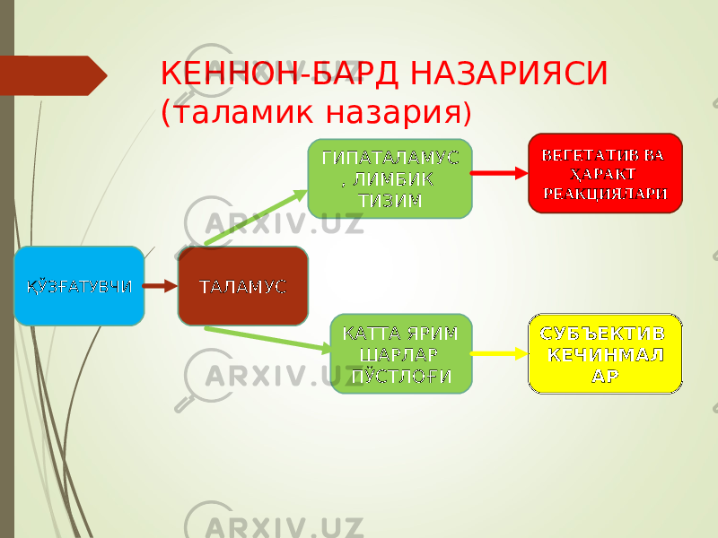 КЕННОН-БАРД НАЗАРИЯСИ (таламик назария ) ҚЎЗҒАТУВЧИ ТАЛАМУС ГИПАТАЛАМУС , ЛИМБИК ТИЗИМ КАТТА ЯРИМ ШАРЛАР ПЎСТЛОҒИ ВЕГЕТАТИВ ВА ҲАРАКТ РЕАКЦИЯЛАРИ СУБЪЕКТИВ КЕЧИНМАЛ АР 