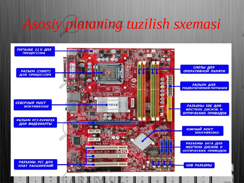 Asosiy plataning tuzilish sxemasi 