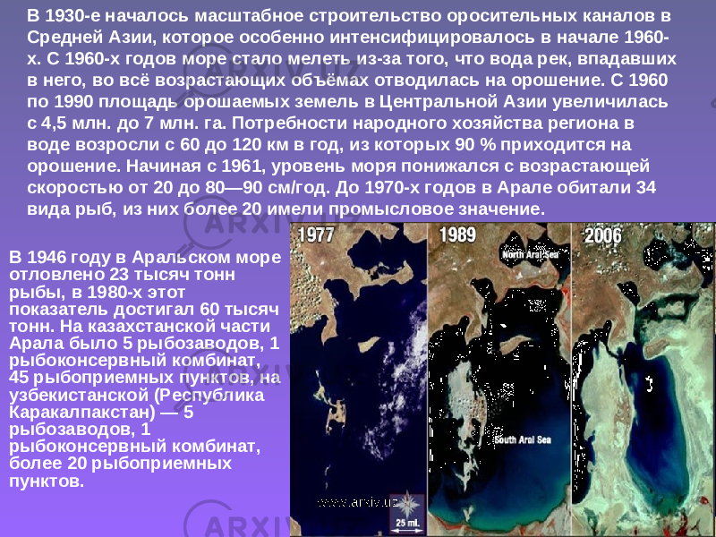  • В 1946 году в Аральском море отловлено 23 тысяч тонн рыбы, в 1980-х этот показатель достигал 60 тысяч тонн. На казахстанской части Арала было 5 рыбозаводов, 1 рыбоконсервный комбинат, 45 рыбоприемных пунктов, на узбекистанской (Республика Каракалпакстан) — 5 рыбозаводов, 1 рыбоконсервный комбинат, более 20 рыбоприемных пунктов. В 1930-е началось масштабное строительство оросительных каналов в Средней Азии, которое особенно интенсифицировалось в начале 1960- х. С 1960-х годов море стало мелеть из-за того, что вода рек, впадавших в него, во всё возрастающих объёмах отводилась на орошение. С 1960 по 1990 площадь орошаемых земель в Центральной Азии увеличилась с 4,5 млн. до 7 млн. га. Потребности народного хозяйства региона в воде возросли с 60 до 120 км в год, из которых 90 % приходится на орошение. Начиная с 1961, уровень моря понижался с возрастающей скоростью от 20 до 80—90 см/год. До 1970-х годов в Арале обитали 34 вида рыб, из них более 20 имели промысловое значение. www.arxiv.uz 