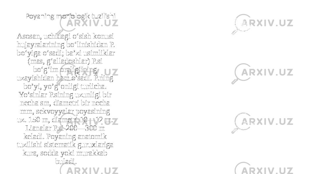 Asosan, uchidagi oʻsish konusi hujayralarining boʻlinishidan P. boʻyiga oʻsadi; baʼzi usimliklar (mas, gʻalladoshlar) P.si boʻgʻim oraligʻining uzayishidan ham o’sadi. P.ning bo’yi, yo’gʻonligi turlicha. Yo’sinlar P.sining uzunligi bir necha sm, diametri bir necha mm, sekvoyyalar poyasining uz. 150 m, diametri 10—12 m. Lianalar P.si 200—300 m keladi. Poyaning anatomik tuzilishi sistematik guruxlariga kura, sodda yoki murakkab buladi. Poyaning morfologik tuzilishi 