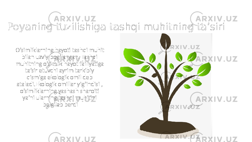 Poyaning tuzilishiga tashqi muhitning ta’siri O’simliklarning hayoti tashqi muhit bilan uzviy bog’langan. Tashqi muhitning o’simlik hayot failiyatiga ta’sir etuvchi ayrim tarkibiy qismiga ekologik omil deb ataladi.Ekologik omillar yig’indisi , o’simliklarning yashash sharoiti ya’ni ularning tashqi muhitini belgilab berdi 