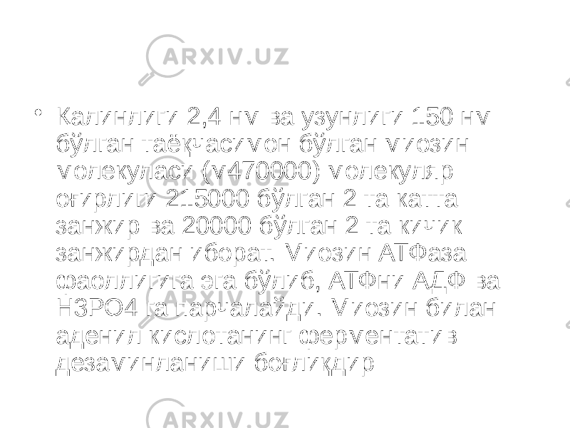 • Қалинлиги 2,4 нм ва узунлиги 150 нм бўлган таёқчасимон бўлган миозин молекуласи (м470000) молекуляр оғирлиги 215000 бўлган 2 та катта занжир ва 20000 бўлган 2 та кичик занжирдан иборат. Миозин АТФаза фаоллигига эга бўлиб, АТФни АДФ ва Н3РО4 га парчалайди. Миозин билан аденил кислотанинг ферментатив дезаминланиши боғлиқдир 