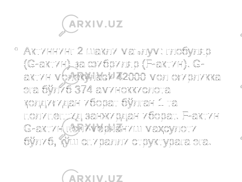 • Актиннинг 2 шакли маълум: глобуляр (G-актин) ва фибриляр (F-актин). G- актин молекуласи 42000 мол оғирликка эга бўлиб 374 аминоккислота қолдиғидан иборат бўлган 1 та полипептид занжирдан иборат. F-актин G-актин полимерланиш маҳсулоти бўлиб, қўш спиралли структурага эга. 