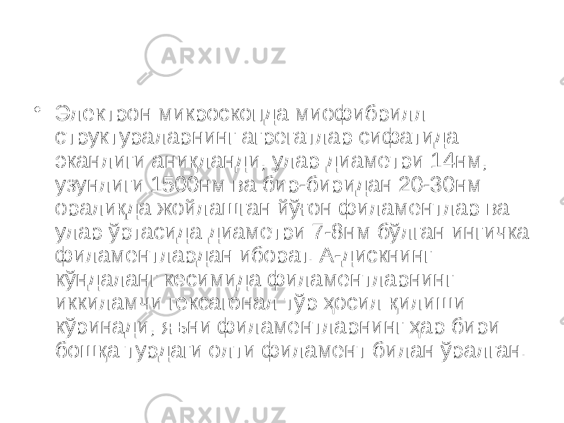 • Электрон микроскопда миофибрилл структураларнинг агрегатлар сифатида эканлиги аниқланди, улар диаметри 14нм, узунлиги 1500нм ва бир-биридан 20-30нм оралиқда жойлашган йўғон филаментлар ва улар ўртасида диаметри 7-8нм бўлган ингичка филаментлардан иборат. А-дискнинг кўндаланг кесимида филаментларнинг иккиламчи гексагонал тўр ҳосил қилиши кўринади, яъни филаментларнинг ҳар бири бошқа турдаги олти филамент билан ўралган. 