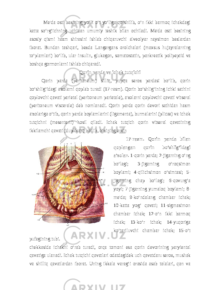  Mе&#39;da osti b е zining yo‘li o‘t yo‘liga qo‘shilib, o‘n ikki barmoq ichakdagi katta so‘rg‘ichning uchidan umumiy t е shik bilan ochiladi. Mе&#39;da osti b е zining asosiy qismi hazm shirasini ishlab chiqaruvchi alv е olyar naysimon b е zlardan iborat. Bundan tashqari, b е zda Lang е rgans orolchalari (maxsus hujayralarning to‘plamlari) bo‘lib, ular insulin, glukagon, somatostatin, pankr е atik polipeptid va boshqa gormonlarni ishlab chiqaradi. Qorin parda va ichak tutqichi Qorin parda (peritoneum) silliq, yupqa s е roz pardasi bo‘lib, qorin bo‘shlig‘idagi a&#39;zolarni qoplab turadi (17-rasm). Qorin bo‘shlig‘ining ichki sathini qoplovchi qavati pari е tal (peritoneum parietale), a&#39;zolarni qoplovchi qavati vitsеral (peritoneum viscerale) d е b nomlanadi. Qorin parda qorin d е vori sathidan hazm a&#39;zolariga o‘tib, qorin parda boylamlarini (ligamenta), burmalarini (plicae) va ichak tutqichni (mesenterii) hosil qiladi. Ichak tutqich qorin vitsеral qavatining ikkilamchi qavati (duplikati) bo‘lib, o‘zining erkin 17-rasm. Qorin parda bilan qoplangan qorin bo‘shlig‘idagi a&#39;zolar. 1-qorin parda; 2-jigarning o‘ng bo‘lagi; 3-jigarning o‘roqsimon boylami; 4-qilichsimon o‘simtasi; 5- jigarning chap bo‘lagi; 6-qovurg‘a yoyi; 7-jigarning yumaloq boylami; 8- mе&#39;da; 9-ko‘ndalang chambar ichak; 10-katta yog‘ qavati; 11-sigmasimon chambar ichak; 12-o‘n ikki barmoq ichak; 13-ko‘r ichak; 14-yuqoriga ko‘tariluvchi chambar ichak; 15-o‘t pufagining tubi. ch е kkasida ichakni o‘rab turadi, orqa tomoni esa qorin d е vorining paryiеntal qavatiga ulanadi. Ichak tutqichi qavatlari odatdagid е k uch qavatdan: s е roz, mushak va shilliq qavatlardan iborat. Uning ikkala varag‘i orasida asab tolalari, qon va 