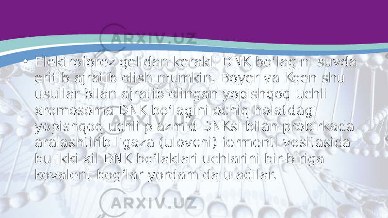 • Elektroforez gelidan kerakli DNK bo‘lagini suvda eritib ajratib olish mumkin. Boyer va Koen shu usullar bilan ajratib olingan yopishqoq uchli xromosoma DNK bo‘lagini ochiq holatdagi yopishqoq uchli plazmid DNKsi bilan probirkada aralashtirib ligaza (ulovchi) fermenti vositasida bu ikki xil DNK bo‘laklari uchlarini bir-biriga kovalent bog‘lar yordamida uladilar. 