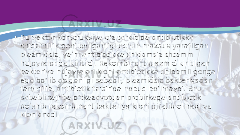 • Bu vektor konstruksiya o‘z tarkibida antibiotikka chidamlilik geni bo‘lganligi uchun maxsus yaratilgan plazmidsiz, ya’ni antibiotikka chidamsiz shtamm hujayralariga kiritildi. Rekombinant plazmid kiritilgan bakteriya hujayralari kloni antibiotikka chidamli genga ega bo‘lib qolganligi sababli, plazmidsiz bakteriyadan farq qilib, antibiotik ta’sirida nobud bo‘lmaydi. Shu sababli tajriba o‘tkazayotgan probirkaga antibiotik qo‘shib rekombinant bakteriya kloni ajratib olinadi va klonlanadi. 