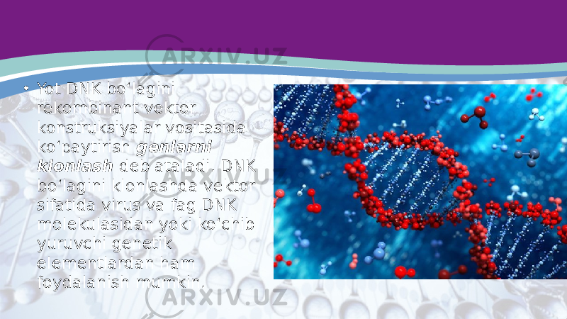 • Yot DNK bo‘lagini rekombinant vektor konstruksiyalar vositasida ko‘paytirish genlarni klonlash deb ataladi. DNK bo‘lagini klonlashda vektor sifatida virus va fag DNK molekulasidan yoki ko‘chib yuruvchi genetik elementlardan ham foydalanish mumkin. 