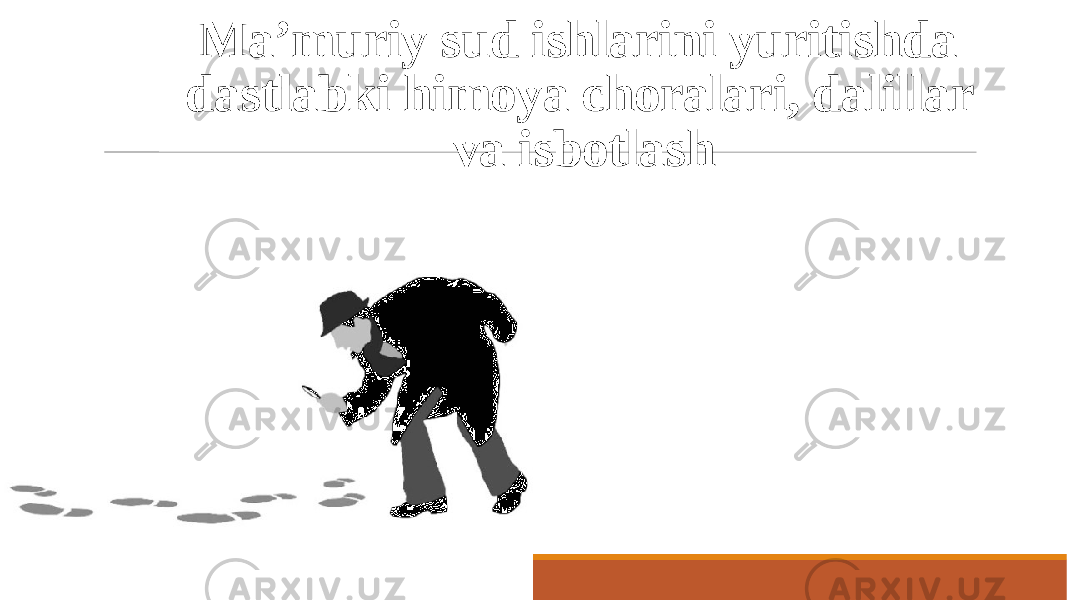 Ma’muriy sud ishlarini yuritishda dastlabki himoya choralari, dalillar va isbotlash 