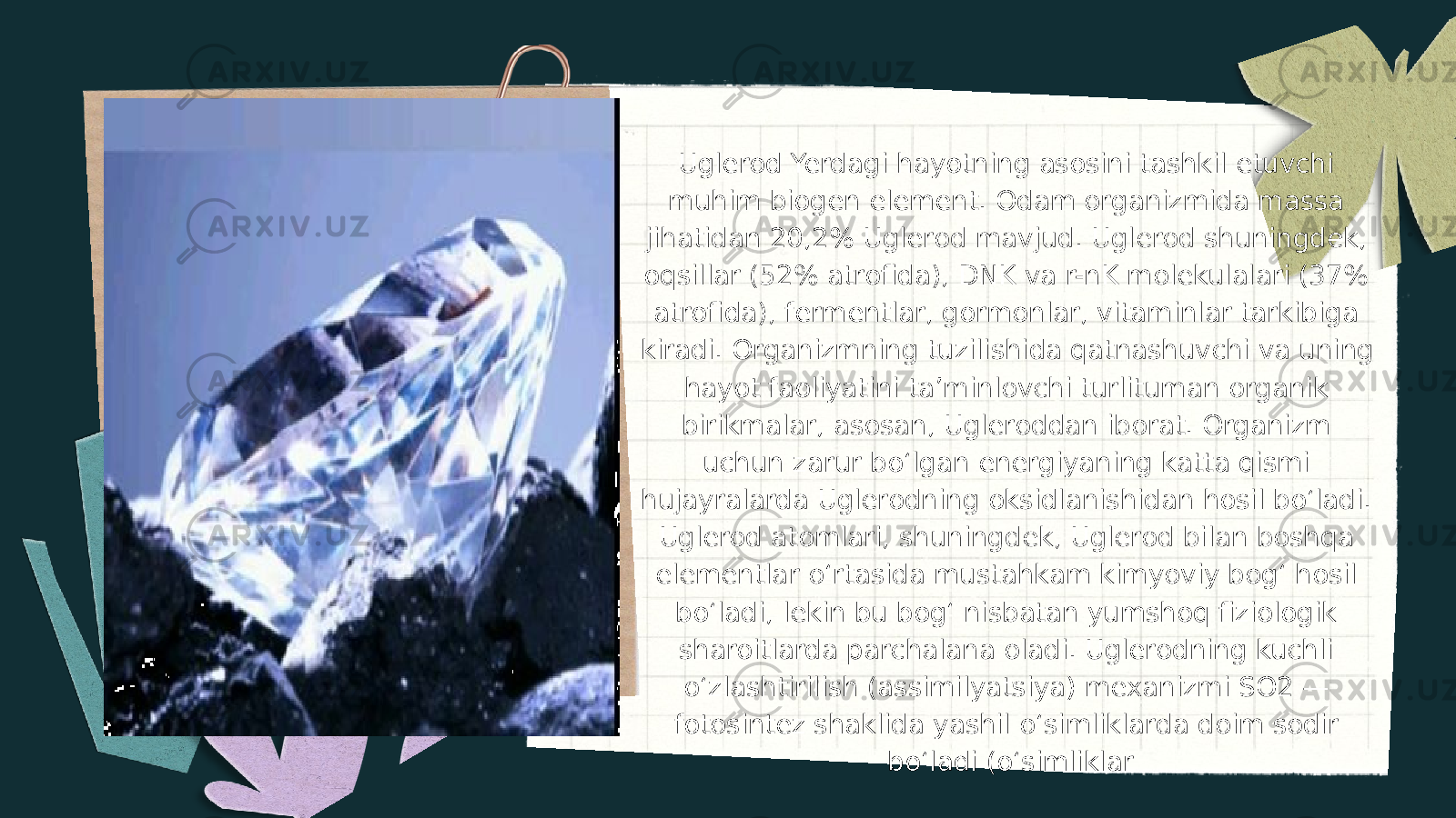 Uglerod Yerdagi hayotning asosini tashkil etuvchi muhim biogen element. Odam organizmida massa jihatidan 20,2% Uglerod mavjud. Uglerod shuningdek, oqsillar (52% atrofida), DNK va r-nK molekulalari (37% atrofida), fermentlar, gormonlar, vitaminlar tarkibiga kiradi. Organizmning tuzilishida qatnashuvchi va uning hayot faoliyatini taʼminlovchi turlituman organik birikmalar, asosan, Ugleroddan iborat. Organizm uchun zarur boʻlgan energiyaning katta qismi hujayralarda Uglerodning oksidlanishidan hosil boʻladi. Uglerod atomlari, shuningdek, Uglerod bilan boshqa elementlar oʻrtasida mustahkam kimyoviy bogʻ hosil boʻladi, lekin bu bogʻ nisbatan yumshoq fiziologik sharoitlarda parchalana oladi. Uglerodning kuchli oʻzlashtirilish (assimilyatsiya) mexanizmi SO2 — fotosintez shaklida yashil oʻsimliklarda doim sodir boʻladi (oʻsimliklar 