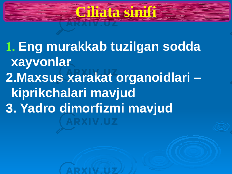 Ciliata sinifi 1. Eng murakkab tuzilgan sodda xayvonlar 2.Maxsus xarakat organoidlari – kiprikchalari mavjud 3. Yadro dimorfizmi mavjud 