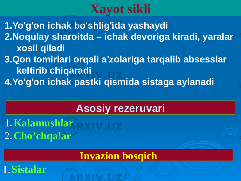 1.Yo&#39;g&#39;on ichak bo&#39;shlig&#39;ida yashaydi 2.Noqulay sharoitda – ichak devoriga kiradi, yaralar xosil qiladi 3.Qon tomirlari orqali a&#39;zolariga tarqalib absesslar keltirib chiqaradi 4.Yo&#39;g&#39;on ichak pastki qismida sistaga aylanadi Xayot sikli Asosiy rezeruvari 1. Kalamushlar 2. Cho’chqalar Invazion bosqich 1. Sistalar 