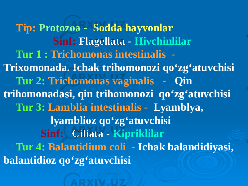 Tip: Protozoa - Sodda hayvonlar Sinf: Flagellata - Hivchinlilar Tur 1 : Trichomonas intestinalis - Trixomonada. Ichak trihomonozi qo‘zg‘atuvchisi Tur 2: Trichomonas vaginalis - Qin trihomonadasi, qin trihomonozi qo‘zg‘atuvchisi Tur 3: Lamblia intestinalis - Lyamblya, lyamblioz qo‘zg‘atuvchisi Sinf: Ciliata - Kipriklilar Tur 4: Balantidium coli - Ichak balandidiyasi, balantidioz qo‘zg‘atuvchisi 