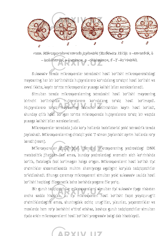 rasm. Mikrosporalarni tetrada joylanishi (Rodkiwicz 1973): a –tetraedrik, b – izobilaterial, v-butsimon, g –chiziqsimon, d –T –ko‘rinishli. Suksessiv tarzda mikrosporalar tetradasini hosil bo‘lishi mikrosporotsitdagi meyozning har bir bo‘linishida hujayralararo ko‘ndalang to‘siqni hosil bo‘lishi va avval ikkita, keyin to‘rtta mikrosporalar yuzaga kelishi bilan xarakterlanadi. Simultan tarzda mikrosporalarning tetradasini hosil bo‘lishi meyozning birinchi bo‘linishida hujayralararo ko‘ndalang to‘siq hosil bo‘lmaydi. Hujayralararo to‘siq meyozning ikkinchi bo‘linishidan keyin hosil bo‘ladi, shunday qilib hosil bo‘lgan to‘rtta mikrosporada hujayralararo to‘siq bir vaqtda yuzaga kelishi bilan xarakterlanadi. Mikrosporalar tetradada juda ko‘p hollarda izobilaterial yoki tetraedrik tarzda joylashadi. Mikrosporalarning chiziqli yoki T-simon joylanishi ayrim hollarda ro‘y beradi (rasm). Mikrosporalar sitokimyosi. Tetrada mikrosporaning yadrosidagi DNK metabolitik jihatidan faol emas, bunday yadrolardagi xromatin zich ko‘rinishda bo‘lib, fiziologik faol bo‘lmagan holga o‘tgan. Mikrosporalarni hosil bo‘lish tipi o‘simliklar sistematikasida muhim ahamiyatga egaligini ko‘plab tadqiqotchilar ta’kidlashadi. Shunga qaramay mikrosporani simultan yoki suksessiv usulda hosil bo‘lishi haqidagi filogenetik baho berishda yagona fikr yo‘q. Bir guruh tadqiqotchilar mikrosporalarni simultan tipi suksesiv tipga nisbatan ancha sodda hisoblab, bu tip mikrosporani hosil bo‘lishi faqat yopiqurug‘li o‘simliklardagina emas, shuningdek ochiq urug‘lilar, plaunlar, paporotniklar va moxlarda ham ro‘y berishini e’tirof etishsa, boshqa guruh tadqiqotchilar simultan tipda erkin mikrosporalarni hosil bo‘lishi progressiv belgi deb hisoblaydi. 