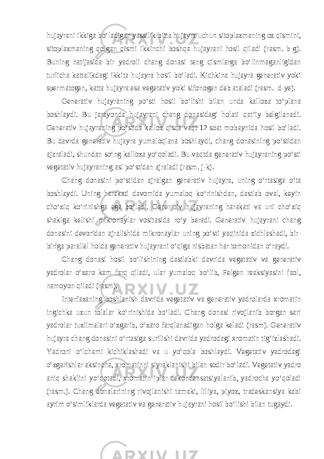 hujayrani ikkiga bo‘ladigan yassilik bitta hujayra uchun sitoplazmaning oz qismini, sitoplazmaning qolgan qismi ikkinchi boshqa hujayrani hosil qiladi (rasm. b-g). Buning natijasida bir yadroli chang donasi teng qismlarga bo‘linmaganligidan turlicha kattalikdagi ikkita hujayra hosil bo‘ladi. Kichkina hujayra generativ yoki spermatogen, katta hujayra esa vegetativ yoki sifonogen deb ataladi (rasm. d-ye). Generativ hujayraning po‘sti hosil bo‘lishi bilan unda kalloza to‘plana boshlaydi. Bu jarayonda hujayrani chang donasidagi holati qat’iy belgilanadi. Generativ hujayraning po‘stida kalloz qisqa vaqt 12 soat mobaynida hosil bo‘ladi. Bu davrda generativ hujayra yumaloqlana boshlaydi, chang donasining po‘stidan ajaraladi, shundan so‘ng kalloza yo‘qoladi. Bu vaqtda generativ hujayraning po‘sti vegetativ hujayraning asl po‘stidan ajraladi (rasm. j-k). Chang donasini po‘stidan ajralgan generativ hujayra, uning o‘rtasiga o‘ta boshlaydi. Uning harakati davomida yumaloq ko‘rinishdan, dastlab oval, keyin cho‘ziq ko‘rinishga ega bo‘ladi. Generativ hujayraning harakati va uni cho‘ziq shaklga kelishi mikronaylar vositasida ro‘y beradi. Generativ hujayrani chang donasini devoridan ajralishida mikronaylar uning po‘sti yaqinida zichlashadi, bir- biriga parallel holda generativ hujayrani o‘qiga nisbatan har tomonidan o‘raydi. Chang donasi hosil bo‘lishining dastlabki davrida vegetativ va generativ yadrolar o‘zaro kam farq qiladi, ular yumaloq bo‘lib, Felgen reaksiyasini faol, namoyon qiladi (rasm). Interfazaning boshlanish davrida vegetativ va generativ yadrolarda xromatin ingichka uzun tolalar ko‘rinishida bo‘ladi. Chang donasi rivojlanib borgan sari yadrolar tuzilmalari o‘zgarib, o‘zaro farqlanadigan holga keladi (rasm). Generativ hujayra chang donasini o‘rtasiga surilishi davrida yadrodagi xromatin tig‘izlashadi. Yadroni o‘lchami kichiklashadi va u yo‘qola boshlaydi. Vegetativ yadrodagi o‘zgarishlar aksincha, xromatinni siyraklanishi bilan sodir bo‘ladi. Vegetativ yadro aniq shaklini yo‘qotadi, xromatin iplar dekondensatsiyalanib, yadrocha yo‘qoladi (rasm.). Chang donalarining rivojlanishi tamaki, liliya, piyoz, tradeskansiya kabi ayrim o‘simliklarda vegetativ va generativ hujayrani hosil bo‘lishi bilan tugaydi. 