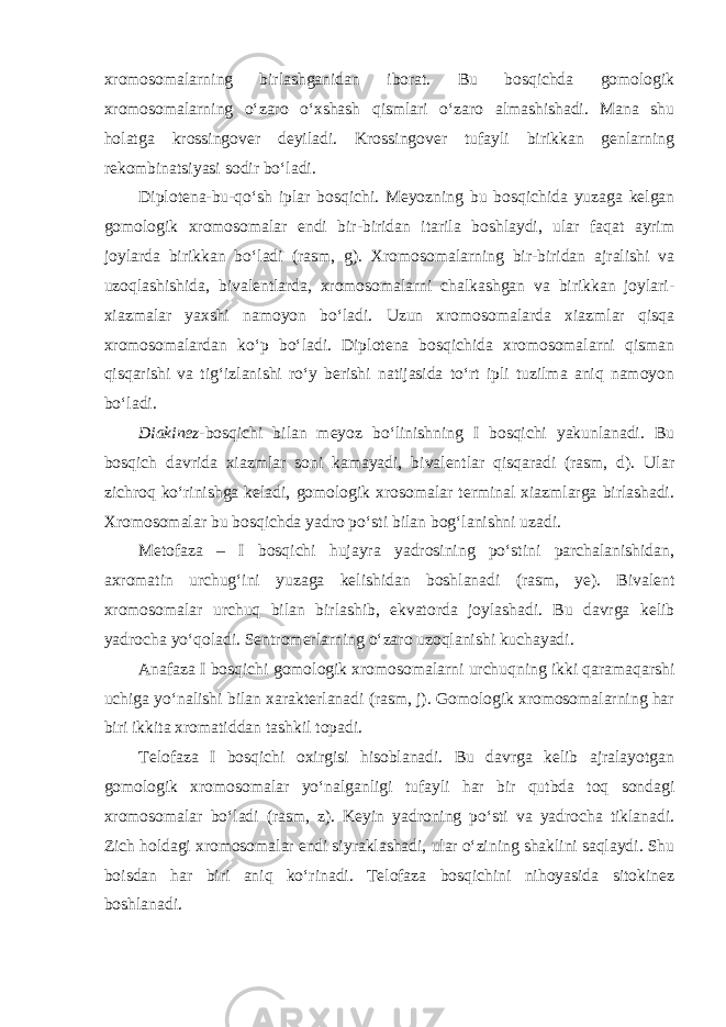 xromosomalarning birlashganidan iborat. Bu bosqichda gomologik xromosomalarning o‘zaro o‘xshash qismlari o‘zaro almashishadi. Mana shu holatga krossingover deyiladi. Krossingover tufayli birikkan genlarning rekombinatsiyasi sodir bo‘ladi. Diplotena-bu-qo‘sh iplar bosqichi. Meyozning bu bosqichida yuzaga kelgan gomologik xromosomalar endi bir-biridan itarila boshlaydi, ular faqat ayrim joylarda birikkan bo‘ladi (rasm, g). Xromosomalarning bir-biridan ajralishi va uzoqlashishida, bivalentlarda, xromosomalarni chalkashgan va birikkan joylari- xiazmalar yaxshi namoyon bo‘ladi. Uzun xromosomalarda xiazmlar qisqa xromosomalardan ko‘p bo‘ladi. Diplotena bosqichida xromosomalarni qisman qisqarishi va tig‘izlanishi ro‘y berishi natijasida to‘rt ipli tuzilma aniq namoyon bo‘ladi. Diakinez- bosqichi bilan meyoz bo‘linishning I bosqichi yakunlanadi. Bu bosqich davrida xiazmlar soni kamayadi, bivalentlar qisqaradi (rasm, d). Ular zichroq ko‘rinishga keladi, gomologik xrosomalar terminal xiazmlarga birlashadi. Xromosomalar bu bosqichda yadro po‘sti bilan bog‘lanishni uzadi. Metofaza – I bosqichi hujayra yadrosining po‘stini parchalanishidan, axromatin urchug‘ini yuzaga kelishidan boshlanadi (rasm, ye). Bivalent xromosomalar urchuq bilan birlashib, ekvatorda joylashadi. Bu davrga kelib yadrocha yo‘qoladi. Sentromerlarning o‘zaro uzoqlanishi kuchayadi. Anafaza I bosqichi gomologik xromosomalarni urchuqning ikki qaramaqarshi uchiga yo‘nalishi bilan xarakterlanadi (rasm, j). Gomologik xromosomalarning har biri ikkita xromatiddan tashkil topadi. Telofaza I bosqichi oxirgisi hisoblanadi. Bu davrga kelib ajralayotgan gomologik xromosomalar yo‘nalganligi tufayli har bir qutbda toq sondagi xromosomalar bo‘ladi (rasm, z). Keyin yadroning po‘sti va yadrocha tiklanadi. Zich holdagi xromosomalar endi siyraklashadi, ular o‘zining shaklini saqlaydi. Shu boisdan har biri aniq ko‘rinadi. Telofaza bosqichini nihoyasida sitokinez boshlanadi. 