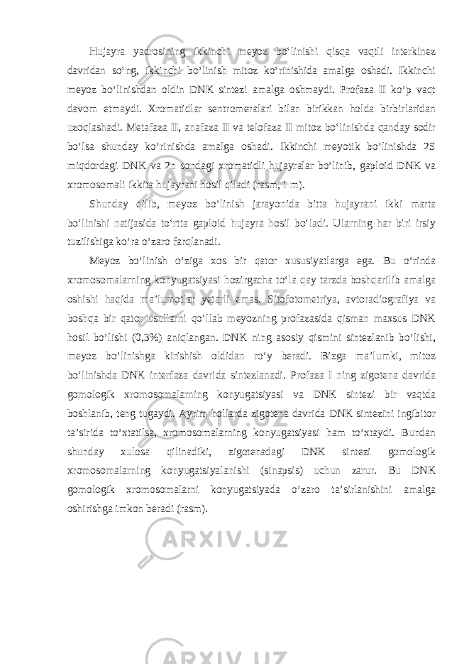 Hujayra yadrosining ikkinchi meyoz bo‘linishi qisqa vaqtli interkinez davridan so‘ng, ikkinchi bo‘linish mitoz ko‘rinishida amalga oshadi. Ikkinchi meyoz bo‘linishdan oldin DNK sintezi amalga oshmaydi. Profaza II ko‘p vaqt davom etmaydi. Xromatidlar sentromeralari bilan birikkan holda birbirlaridan uzoqlashadi. Metafaza II, anafaza II va telofaza II mitoz bo‘linishda qanday sodir bo‘lsa shunday ko‘rinishda amalga oshadi. Ikkinchi meyotik bo‘linishda 2S miqdordagi DNK va 2n sondagi xromatidli hujayralar bo‘linib, gaploid DNK va xromosomali ikkita hujayrani hosil qiladi (rasm, i-m). Shunday qilib, meyoz bo‘linish jarayonida bitta hujayrani ikki marta bo‘linishi natijasida to‘rtta gaploid hujayra hosil bo‘ladi. Ularning har biri irsiy tuzilishiga ko‘ra o‘zaro farqlanadi. Meyoz bo‘linish o‘ziga xos bir qator xususiyatlarga ega. Bu o‘rinda xromosomalarning konyugatsiyasi hozirgacha to‘la qay tarzda boshqarilib amalga oshishi haqida ma’lumotlar yetarli emas. Sitofotometriya, avtoradiografiya va boshqa bir qator usullarni qo‘llab meyozning profazasida qisman maxsus DNK hosil bo‘lishi (0,3%) aniqlangan. DNK ning asosiy qismini sintezlanib bo‘lishi, meyoz bo‘linishga kirishish oldidan ro‘y beradi. Bizga ma’lumki, mitoz bo‘linishda DNK interfaza davrida sintezlanadi. Profaza I ning zigotena davrida gomologik xromosomalarning konyugatsiyasi va DNK sintezi bir vaqtda boshlanib, teng tugaydi. Ayrim hollarda zigotena davrida DNK sintezini ingibitor ta’sirida to‘xtatilsa, xromosomalarning konyugatsiyasi ham to‘xtaydi. Bundan shunday xulosa qilinadiki, zigotenadagi DNK sintezi gomologik xromosomalarning konyugatsiyalanishi (sinapsis) uchun zarur. Bu DNK gomologik xromosomalarni konyugatsiyada o‘zaro ta’sirlanishini amalga oshirishga imkon beradi (rasm). 