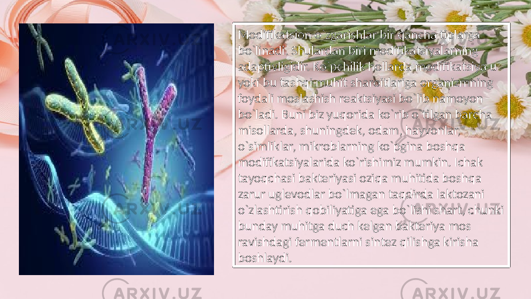 Modifikatsion o`zgarishlar bir qancha tiplarga bo`linadi. Shulardan biri modifikatsiyalarning adaptivligidir. Ko`pchilik hollarda modifikatsiya u yoki bu tashqi muhit sharoitlariga organizmning foydali moslashish reaktsiyasi bo`lib namoyon bo`ladi. Buni biz yuqorida ko`rib o`tilgan barcha misollarda, shuningdek, odam, hayvonlar, o`simliklar, mikroblarning ko`pgina boshqa modifikatsiyalarida ko`rishimiz mumkin. Ichak tayoqchasi bakteriyasi oziqa muhitida boshqa zarur uglevodlar bo`lmagan taqdirda laktozani o`zlashtirish qobiliyatiga ega bo`lishi shart, chunki bunday muhitga duch kelgan bakteriya mos ravishdagi fermentlarni sintez qilishga kirisha boshlaydi. 