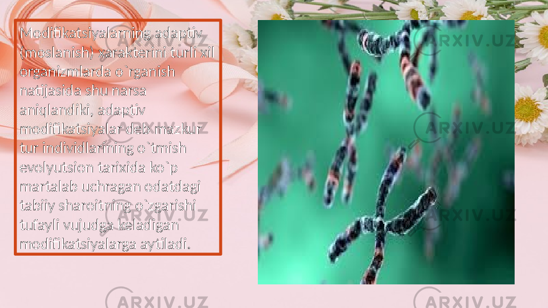 Modifikatsiyalarning adaptiv (moslanish) xarakterini turli xil organizmlarda o`rganish natijasida shu narsa aniqlandiki, adaptiv modifikatsiyalar deb mazkur tur individlarining o`tmish evolyutsion tarixida ko`p martalab uchragan odatdagi tabiiy sharoitning o`zgarishi tufayli vujudga keladigan modifikatsiyalarga aytiladi. 