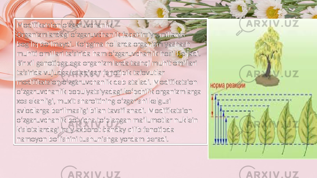 Modifikatsion o‘zgaruvchanlik. Organizmlardagi o‘zgaruvchanlik faqat irsiy omillarga bog‘liq bo‘lmaydi. Ko‘pgina hollarda organizm yashash muhiti omillari ta’sirida ham o‘zgaruvchanlik hosil bo‘ladi. Bir xil genotipga ega organizmlarda tashqi muhit omillari ta’sirida vujudga keladigan fenotipik tafovutlar modifikatsion o‘zgaruvchanlik deb ataladi. Modifikatsion o‘zgaruvchanlik populyatsiyadagi ko‘pchilik organizmlarga xos ekanligi, muxit sharoitining o‘zgarishi kelgusi avlodlarga berilmasligi bilan tavsiflanadi. Modifikatsion o‘zgaruvchanlik bo‘yicha to‘plangan ma’lumotlar nuklein kislotalardagi irsiy axborot qanday qilib fenotipda namoyon bo‘lishini tushunishga yordam beradi. 