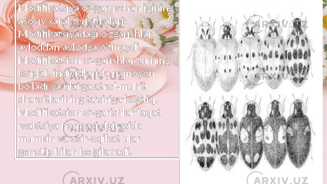 Modifikatsiya o&#39;zgaruvchanligining asosiy xarakteristikalari: Modifikatsiyadagi o&#39;zgarishlar avloddan avlodga o&#39;tmaydi. Modifikatsion o&#39;zgarishlar turning ko&#39;plab individlarida namoyon bo&#39;ladi va ularga atrof-muhit sharoitlarining ta&#39;siriga bog&#39;liq. Modifikatsion o&#39;zgarishlar faqat reaktsiya normasi doirasida mumkin va oxir-oqibat ular genotip bilan belgilanadi. 