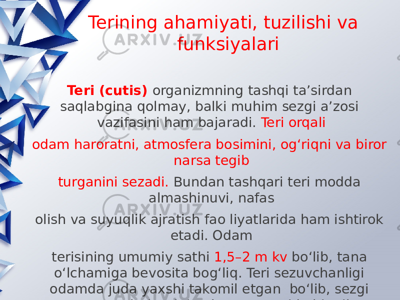  Terining ahamiyati, tuzilishi va funksiyalari Teri (cutis) organizmning tashqi ta’sirdan saqlabgina qolmay, balki muhim sezgi a’zosi vazifasini ham bajaradi. Teri orqali odam haroratni, atmosfera bosimini, og‘riqni va biror narsa tegib turganini sezadi. Bundan tashqari teri modda almashinuvi, nafas olish va suyuqlik ajratish fao liyatlarida ham ishtirok etadi. Odam terisining umumiy sathi 1,5–2 m kv bo‘lib, tana o‘lchamiga bevosita bog‘liq. Teri sezuvchanligi odamda juda yaxshi takomil etgan bo‘lib, sezgi retseptorlari terining hamma yerida bir xil tarqalmagan. Lablar, burun va barmoqlarning uchlarida sezgi retseptorlari juda ko‘p. Terida yuza qavat epidermis va chuqur qavat derma tafovut qilinadi. 