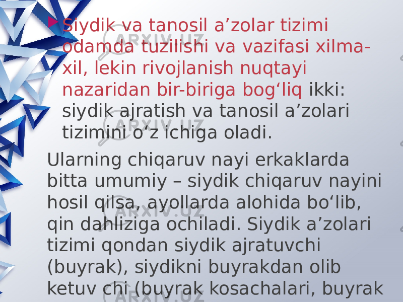  Siydik va tanosil a’zolar tizimi odamda tuzilishi va vazifasi xilma- xil, lekin rivojlanish nuqtayi nazaridan bir-biriga bog‘liq ikki: siydik ajratish va tanosil a’zolari tizimini o‘z ichiga oladi. Ularning chiqaruv nayi erkaklarda bitta umumiy – siydik chiqaruv nayini hosil qilsa, ayollarda alohida bo‘lib, qin dahliziga ochiladi. Siydik a’zolari tizimi qondan siydik ajratuvchi (buyrak), siydikni buyrakdan olib ketuv chi (buyrak kosachalari, buyrak jomi, siydik nayi), siydikni to‘plov chi (qovuq) va organizmdan chiqarib yuboruvchi (siydik chiqaruv nayi)dan iborat. 