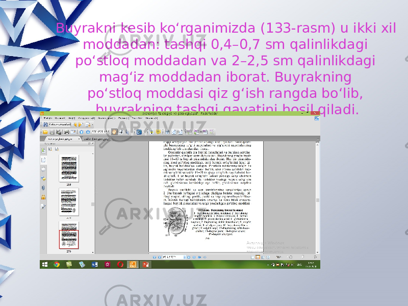 Buyrakni kesib ko‘rganimizda (133-rasm) u ikki xil moddadan: tashqi 0,4–0,7 sm qalinlikdagi po‘stloq moddadan va 2–2,5 sm qalinlikdagi mag‘iz moddadan iborat. Buyrakning po‘stloq moddasi qiz g‘ish rangda bo‘lib, buyrakning tashqi qavatini hosil qiladi. 