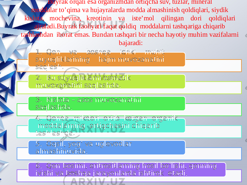 Buyrak orqali esa organizmdan ortiqcha suv, tuzlar, mineral moddalar to’qima va hujayralarda modda almashinish qoldiqlari, siydik kislota, mochevina, kreotinin va iste’mol qilingan dori qoldiqlari ajraladi.Buyrak faoliyati faqat qoldiq moddalarni tashqariga chiqarib tashlashdan iborat emas. Bundan tashqari bir necha hayotiy muhim vazifalarni bajaradi: 1. Qon va boshqa ichki muhit suyuqliklarining hajm muvozanatini saqlash. 2. Bu suyuqliklarni osmatik muvozanatini saqlashda. 3. Kislota – asos muvozanatini saqlashda. 4. Qonda mikdori ortib ketgan organik moddalarning ortiqchasini chiqarib tashlashda. 5. Oqsil, yog’ va uglevodlar almashinuvida. 6. Qon bosimi, eritrositlarning hosil bo’lishi, qonning ivishi va boshqa jarayonlarda ishtirok etadi. 