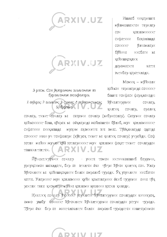 3-расм. Соч ўқларининг эгилганлик ва буралганлик тоифалари. 1-тўғри; 2-эгилган; 3-синиқ; 4-тўлқинсимон; 5- бурама Ишлаб чиқаришга мўлжалланган терилар соч қопламининг сифатини баҳолашда сочнинг ўлчамлари бўйича нисбати ва қайишқоқлик даражасига катта эътибор қаратилади. Момиқ – мўйнали ҳайвон териларида сочнинг бешта тоифаси фарқланади: йўналтирувчи сочлар, қилтиқ сочлар, оралиқ сочлар, тивит сочлар ва сезувчи сочлар (вибрисслар). Сезувчи сочлар ҳайвоннинг бош, кўкрак ва оёқларида жойлашган бўлиб, жун қопламининг сифатини аниқлашда муҳим аҳамиятга эга эмас. Тўёқлиларда одатда сочнинг икки-уч тоифалари (кўпроқ тивит ва қилтиқ сочлар) учрайди. Соф зотли майин жунли қўй зотларининг жун қоплами фақат тивит сочлардан ташкил топган. Йўналтирувчи сочлар - учига томон ингичкалашиб борувчи, урчуқсимон шаклдаги, бир оз эгилган ёки тўғри йўғон қилтиқ соч. Улар йўғонлиги ва қайишқоқлиги билан ажралиб туради. Ўқ узунлиги нисбатан катта. Уларнинг жун қопламини қуйи қаватларини ёпиб турувчи анча тўқ рангли тепа қисмлари мўйна қоплами вуалини ҳосил қилади. Қилтиқ сочлар ўқининг узунлиги йўналтирувчи сочлардан кичикроқ, аммо ушбу сочнинг йўғонлиги йўналтирувчи сочлардан устун туради. Тўғри ёки бир оз жингалаклиги билан ажралиб турадиган ништарсимон 